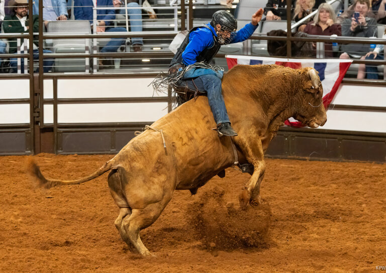 PRORODEO and more: Fort Worth Stock Show rolls into second weekend