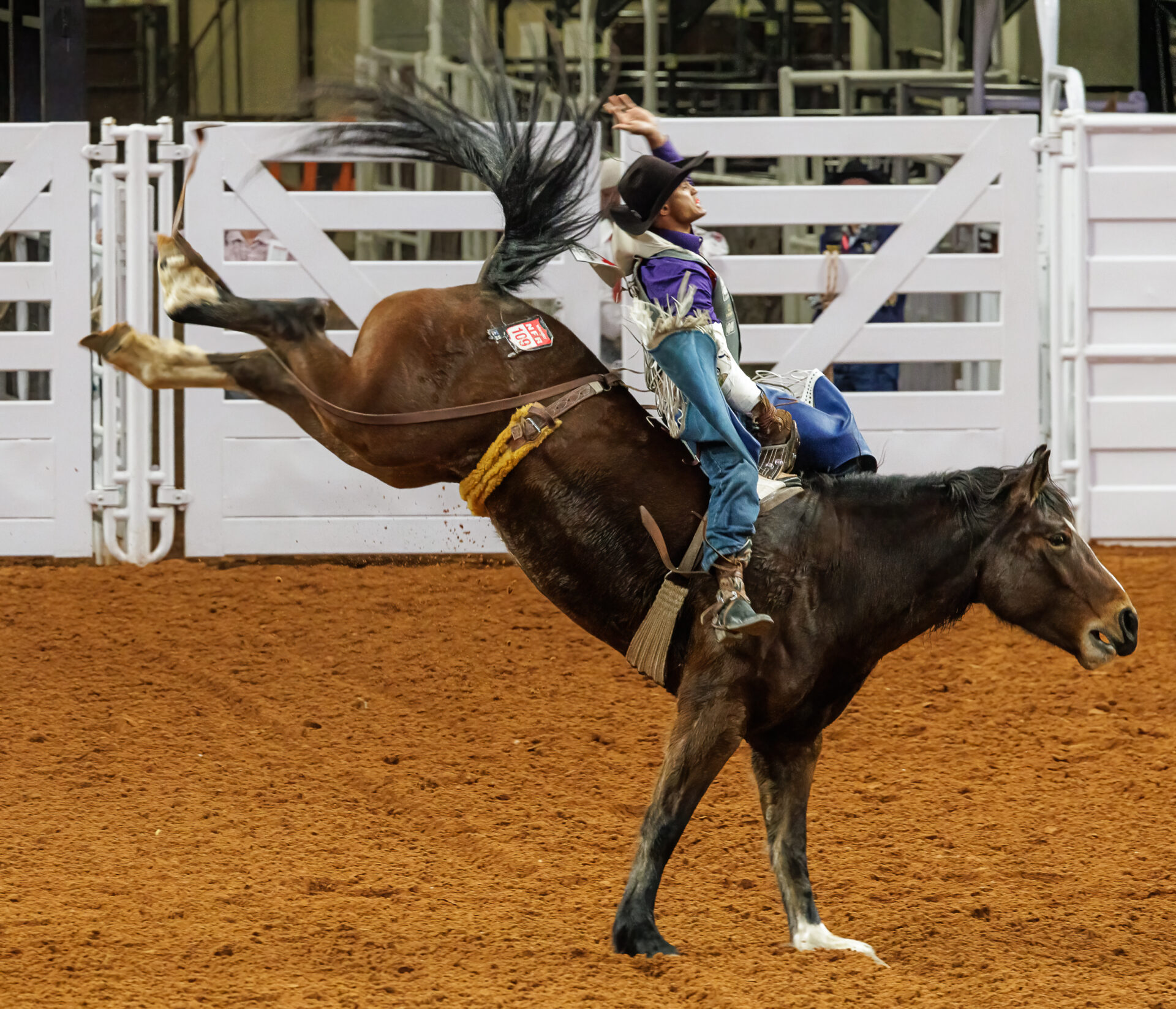 It's Stock Show time – and the parade is back - Fort Worth Business Press