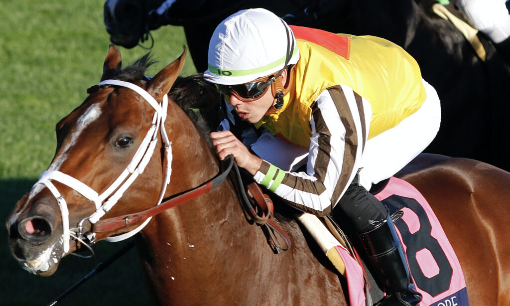Bass Racing's Annapolis takes second in Kelso Stakes at Saratoga - Vimarsana News