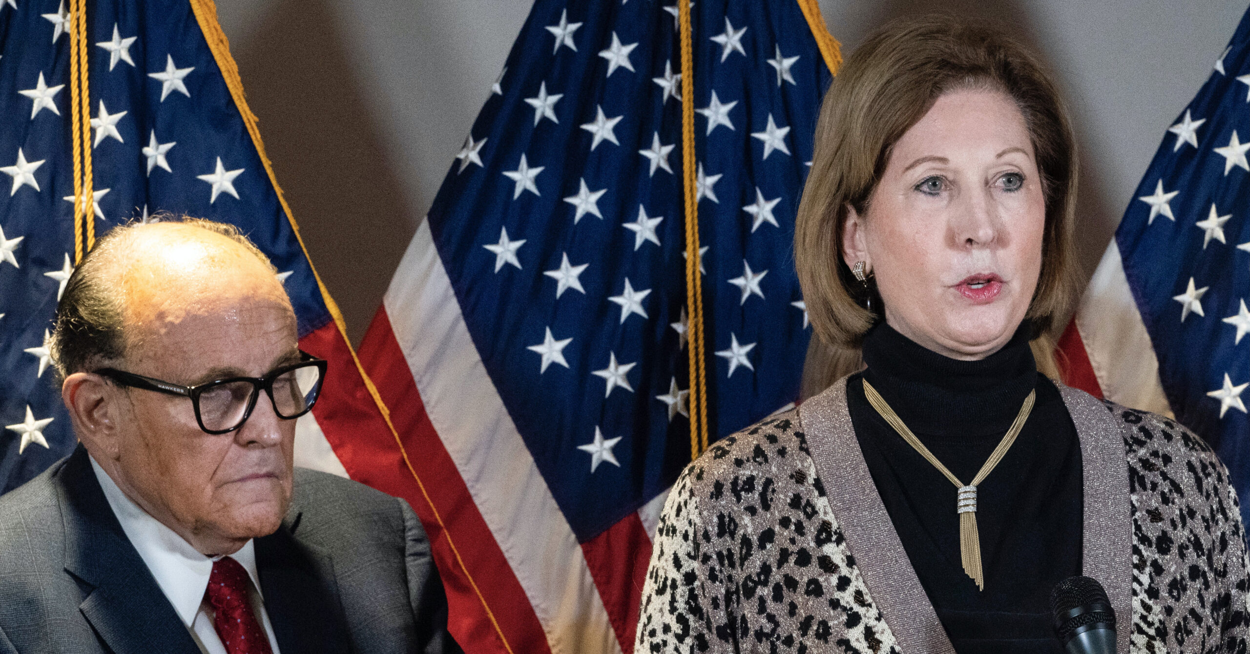 Texan Sidney Powell, Trump co-defendant, pleads guilty in Georgia election interference case - Vimarsana News