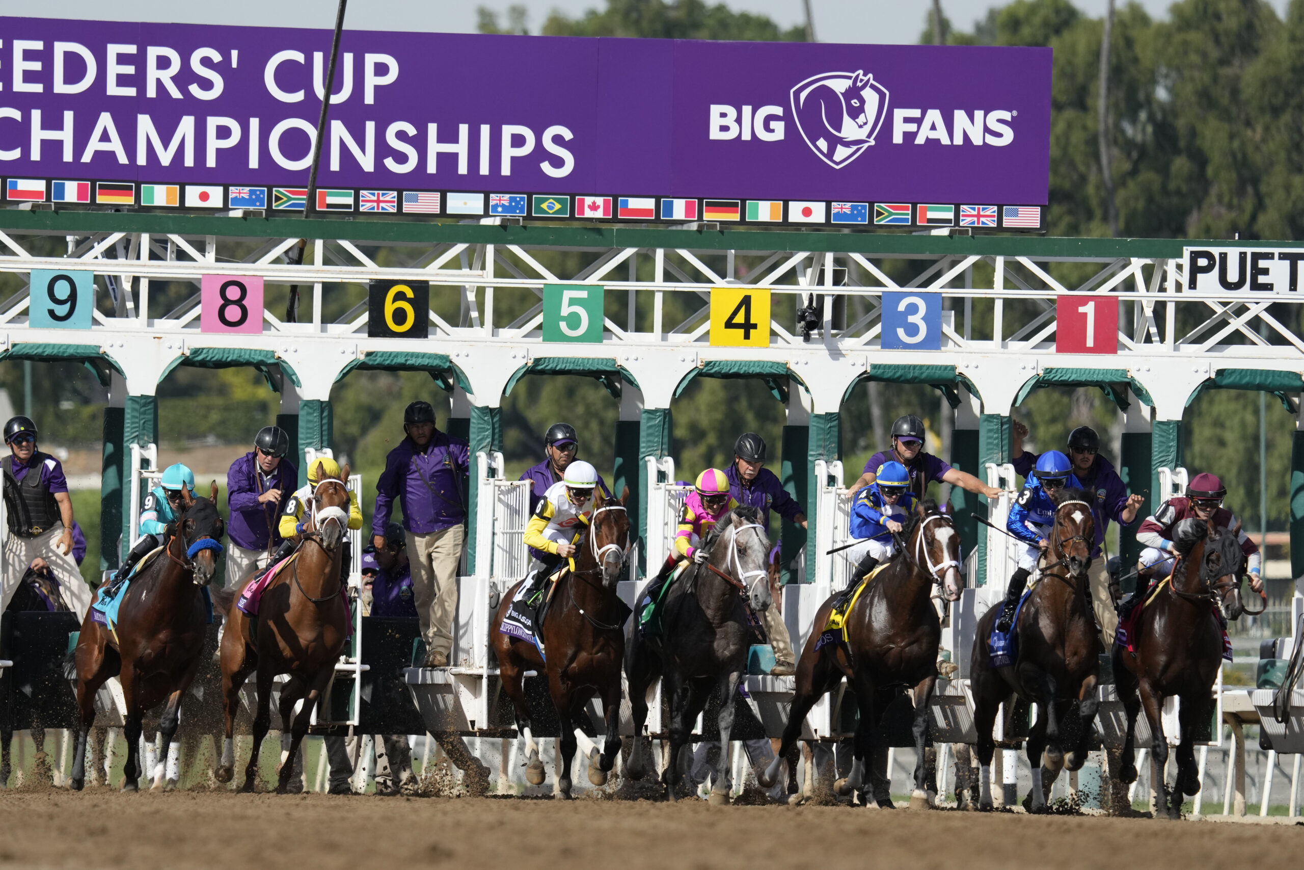 Bass Racing's Seal Team wins Twilight Derby on Breeders' Cup weekend at Santa Anita - Vimarsana News