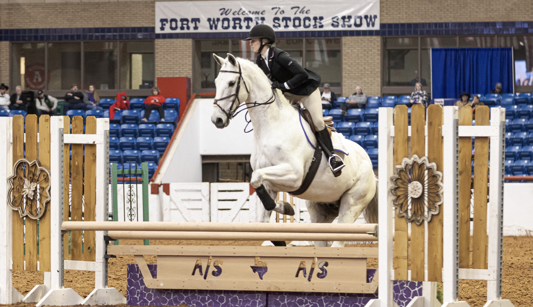 TCU wins Stock Show Bowl equestrian competition Fort Worth Business Press