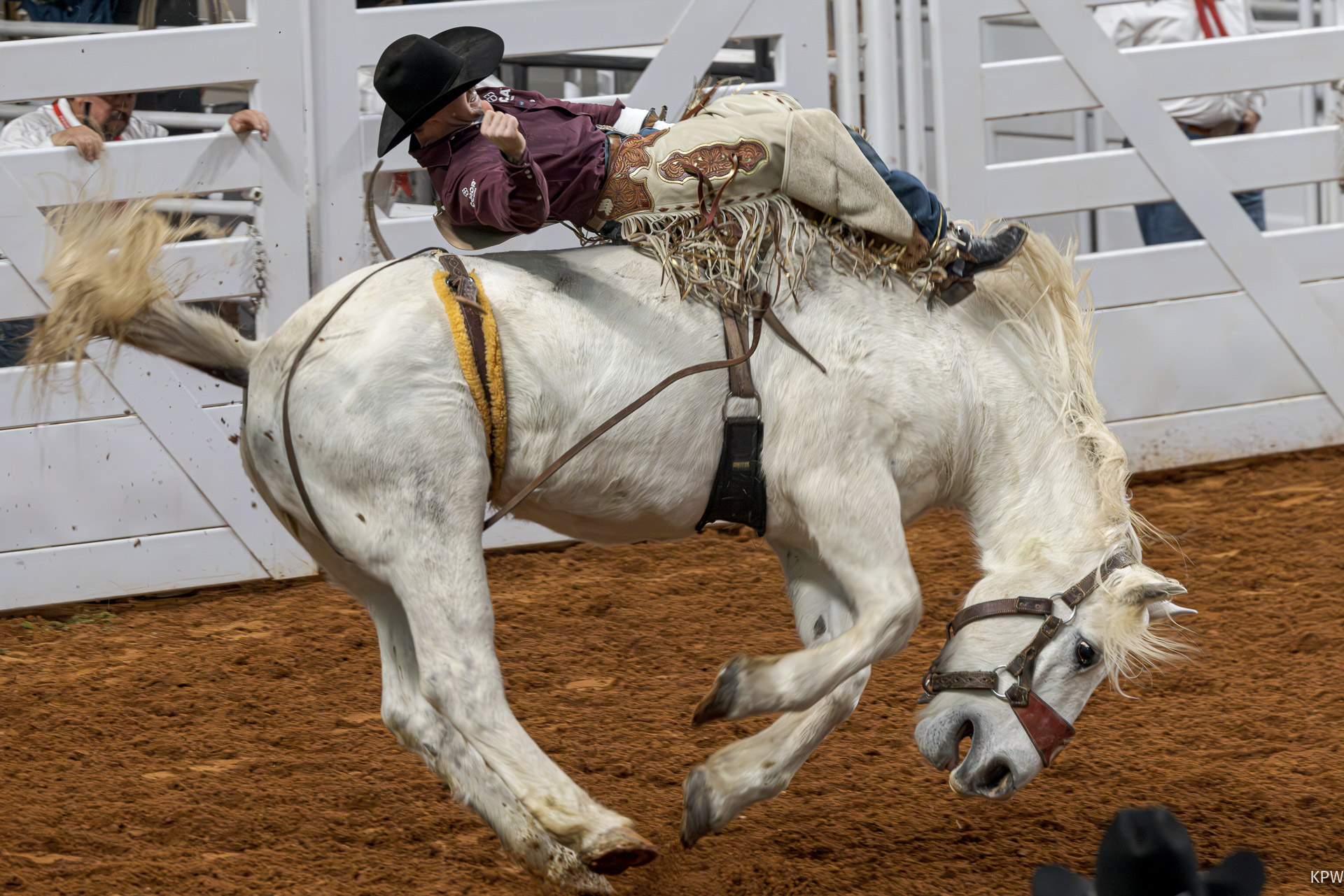 PRORODEO Tournament in full swing at FWSSR - Fort Worth Business Press