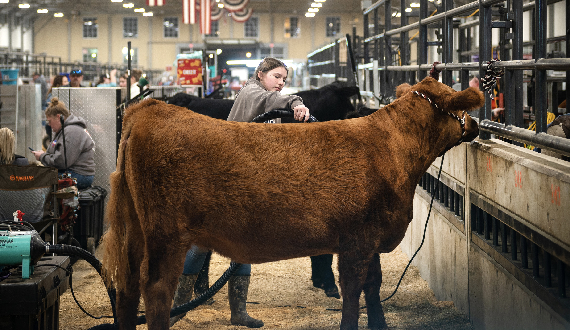 The legend is back: Fort Worth Stock Show & Rodeo runs Jan. 12-Feb. 3 - Vimarsana News